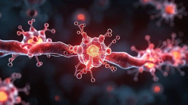 Render artístico mostrando moléculas de proteína reparando e construindo fibras musculares em um nível microscópico, destacando a importância da proteína.